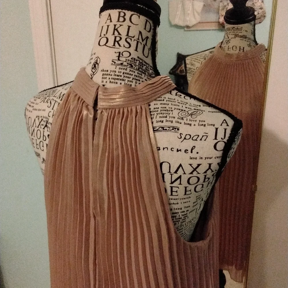 Women's accordion pleat formal champagne top by Worthington size XL Like New - Picture 3 of 5